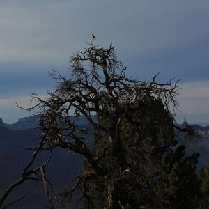 心声幻·沉舟坠梦 伴奏