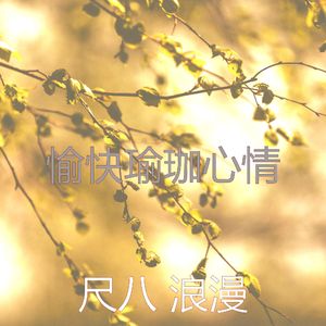 柔和的冥想时刻
