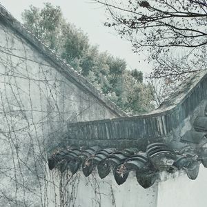 盛京烟雨行（少年版）