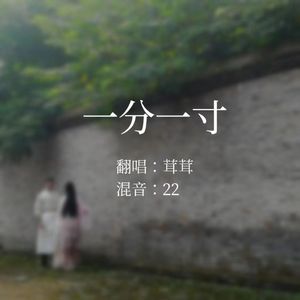 一分一寸