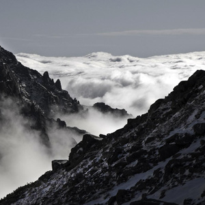 Danes je dan milosti