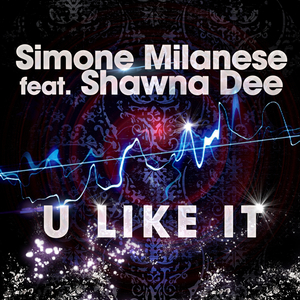U Like It (Original Mix)