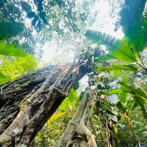 翻篇(prodby.Wazier)