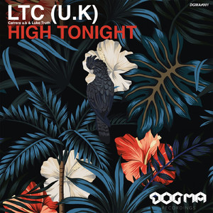 High Tonight (Original Mix)