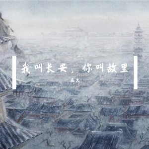 我叫长安，你叫故里—剧情版