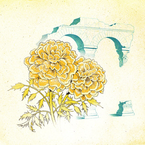 Honesty (Instrumental)