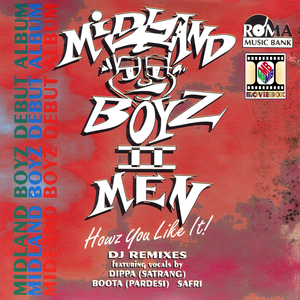 Mr Mirza Dub (Instrumental)