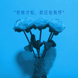 兜转才知，你还在我怀