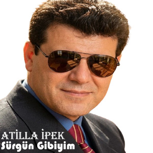 Şahin Serçe Peşinde