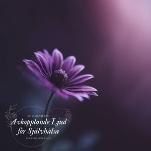 Meditationsberättelser