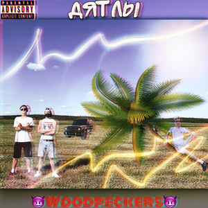 Дятлы (Original)