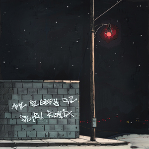 sleepy owl (Skarú Remix)