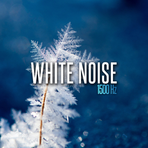White Noise 1500 Hz, Pt. 4