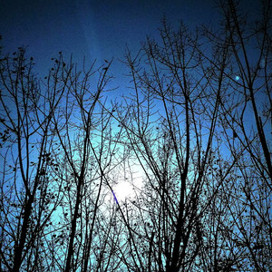 【纯音乐】纵使疾风大浪也要留住锋芒依如少年模样朝着光亮那方