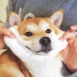 音阙诗听-芒种（说唱版）（Ven73 remix）