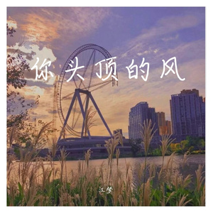 你头顶的风