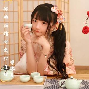 你的酒馆对我打了烊（演唱会）