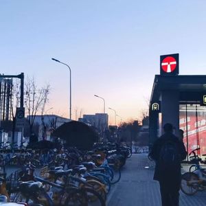 海盗船长一会儿想上岸一会儿想杨帆妹妹你要是上了贼船别怪哥哥没说自己是个混蛋