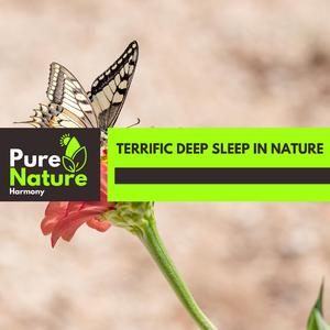 Piercing Beach Ripple Orchestral Bass