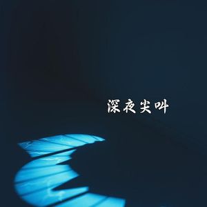 影子之城(重制版)