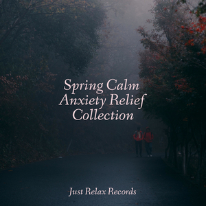 Wildfire Drumbeat Ascension