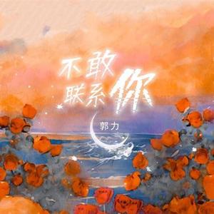 我很想你但不敢联系你 (新歌曲)