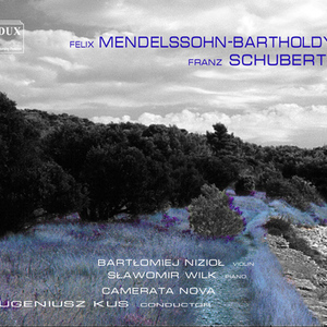 Double Concerto for Violin and Piano in D Minor, MWV O4:II. Adagio