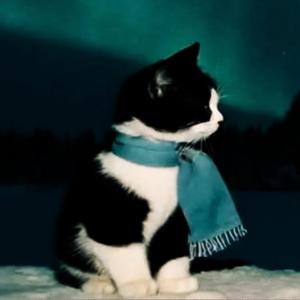 Lindansaren (Aldrig igen)