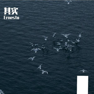 其实(Prod MoonVibe Beatz & Lil Siren )