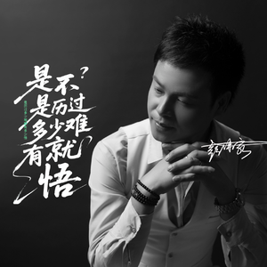 是不是历过多少难就有多少悟