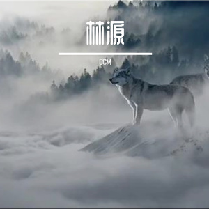 德鲁伊高地-雨田