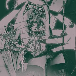 mother ****ing princess