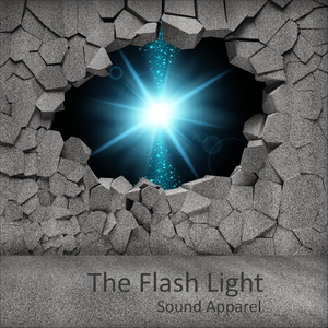 The Flash Light (Extended Mix)