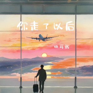 你走了以后