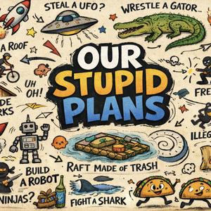 OUR STUPID PLANS