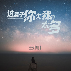 这辈子你欠我的太多 (降调降速版)