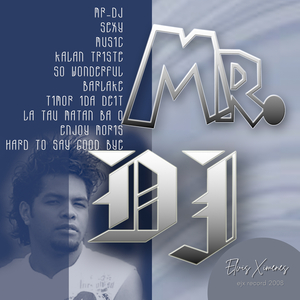 Mr.DJ