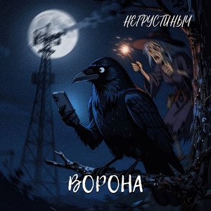 Ворона