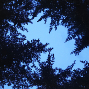 가장 좋아했던 당신에게