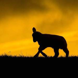 末班车 (Album Version)