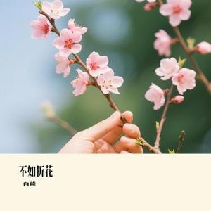 不如折花 (Cover 向思思)