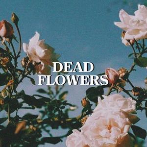 Dead Flowers