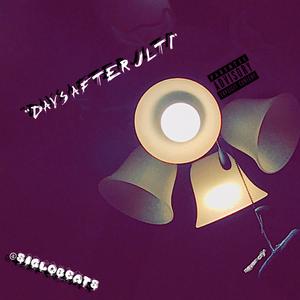 Do Not Disturb Remix (feat. Just Yae) (Remix)