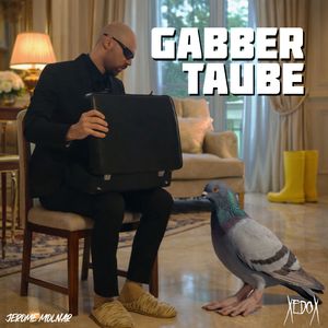 Gabber Taube
