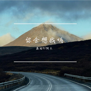 你会想我吗