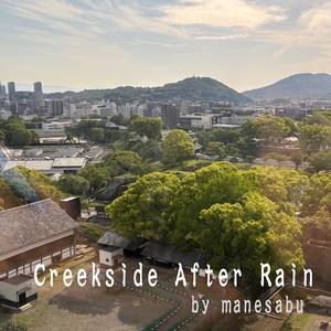Creekside After Rain