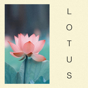 LOTUS
