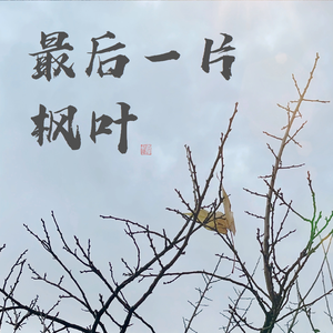 最后一片枫叶 伴奏