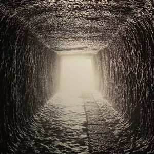 但这一切没有发生