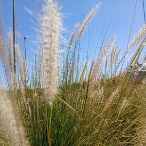 Amores incomprendidos